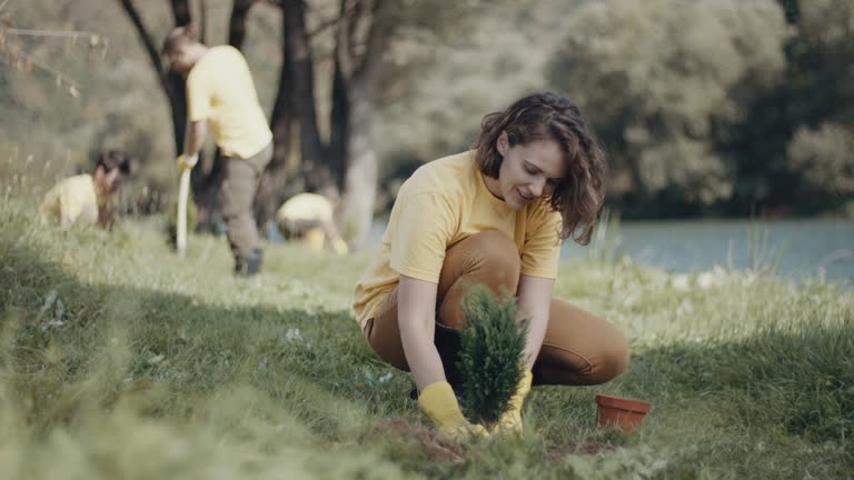 Best Lawn Mowing  in Ronceverte, WV